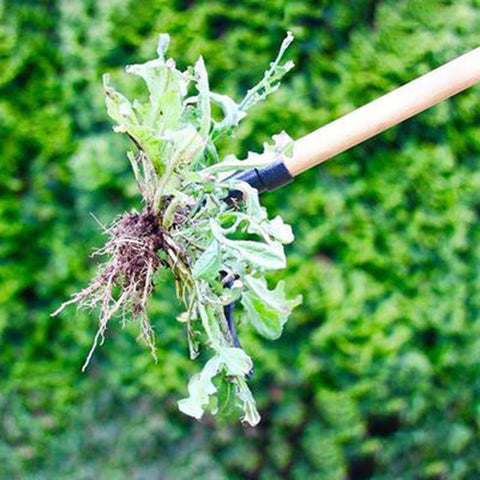 NEW Weed Puller Tool Claw Weeder Root Remover Outdoor Killer Tool Portable Garden Weed Puller Removable With Foot Pedal Dropship