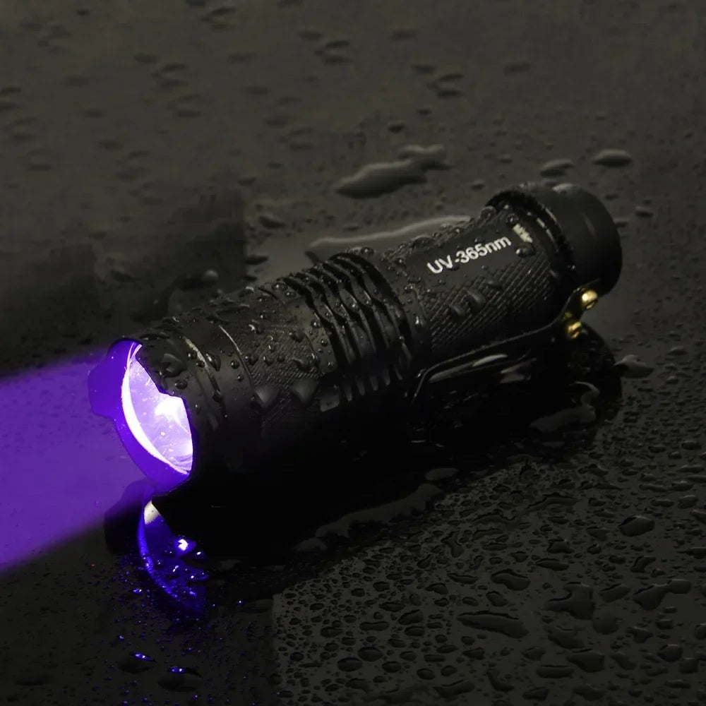 Lampe de poche portable à LED UV 395 nm, lumière noire, longueur d'onde violette, détecteur d'urine d'animaux, scorpion, hygiène féminine 