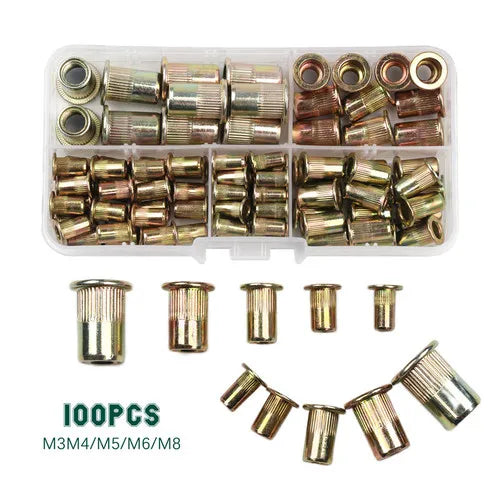 100 pièces écrou à rivet + pistolet à écrous à rivets filetés à la main BT606 M3 M4 M5 M6 M8 pistolet à riveter manuel à double insertion outil de rivetage à rivets à écrou 