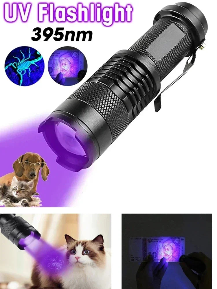 Lampe de poche portable à LED UV 395 nm, lumière noire, longueur d'onde violette, détecteur d'urine d'animaux, scorpion, hygiène féminine 